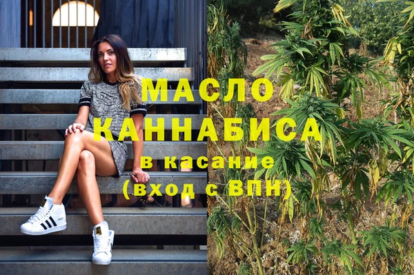 индика Тихвин